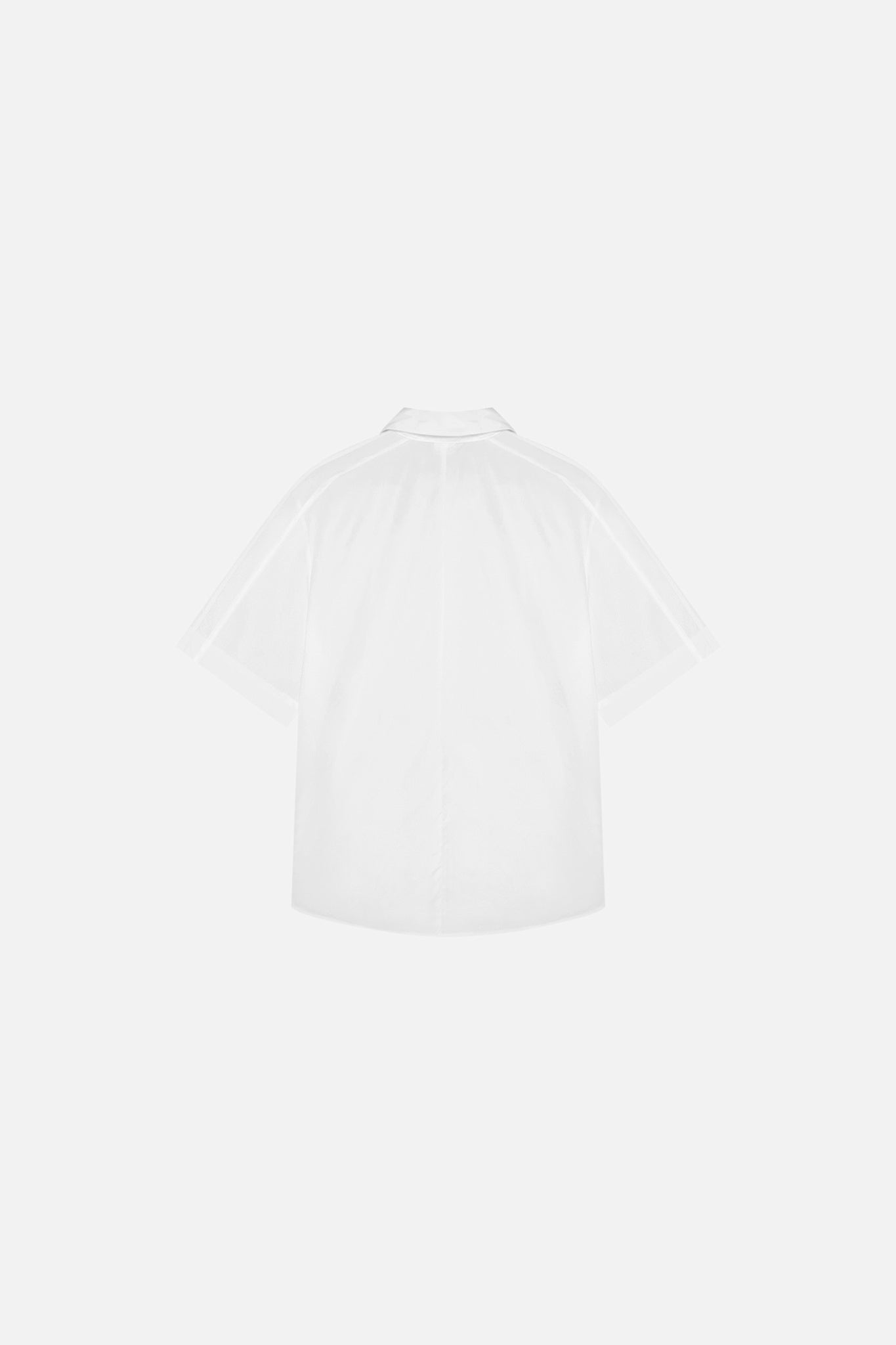 Daniel Shirt